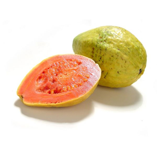 guayaba