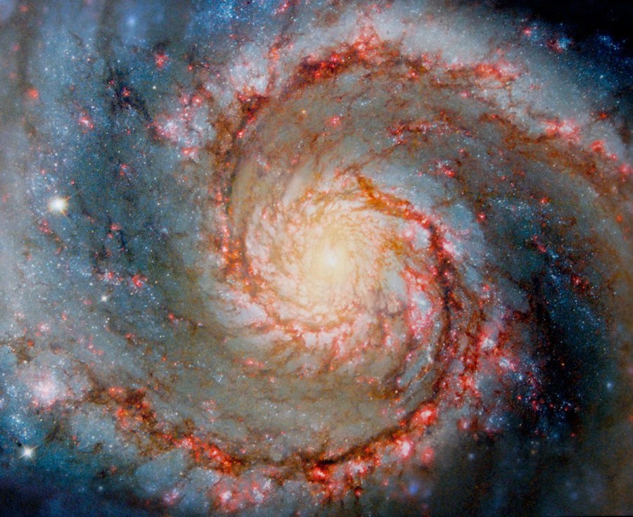 fractales_en_la_naturaleza