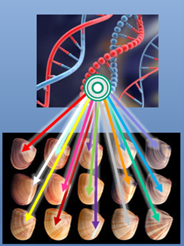 multireferencialidad