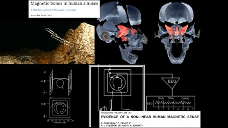 diapos. 2 CONGRESO 2019 S Sebastián.005